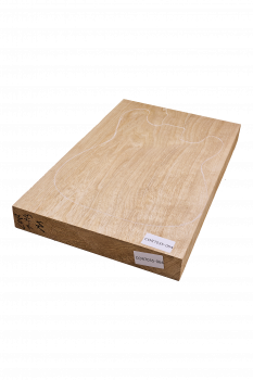 Preview: Body Korina, 1-tlg. Einzelstück #064